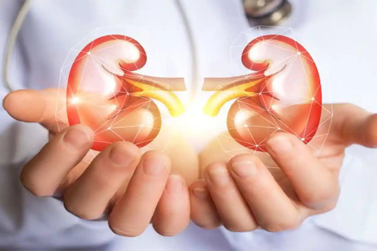 Sering Makan Makanan Olahan, Daging Berlebihan Bisa Merusak Ginjal, Kebiasaan Yang Merusak Ginjal