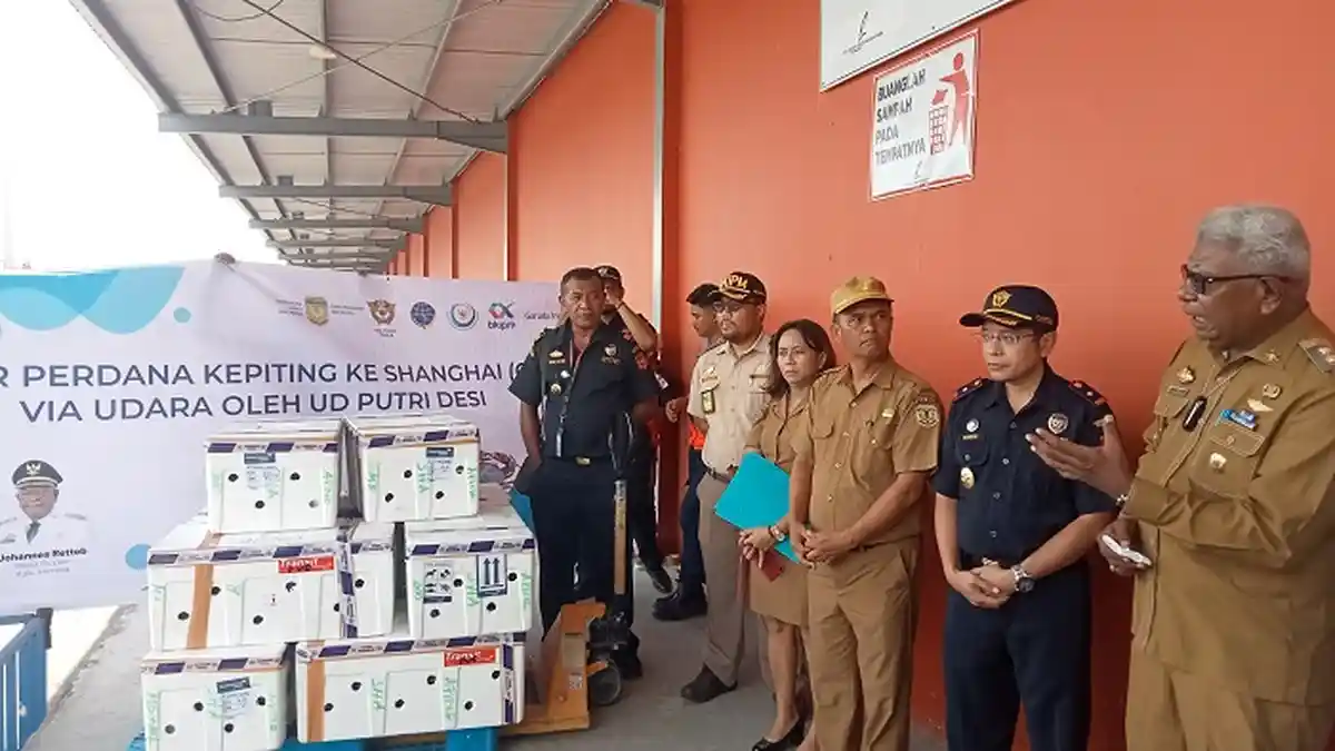 Keren, Mimika Ekspor Perdana 320 Kilogram Kepiting ke Shanghai China