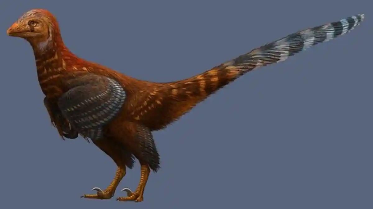 Ini Ilustrasi Spesies Baru Dinosaurus Berbulu, Cikal Bakal Burung Modern