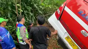 Kecelakaan-bus-masuk-jurang-di-Lampung-Barat.jpg