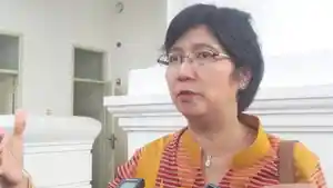 deputi-gubernur-senior-bi-destry-damayanti.jpg