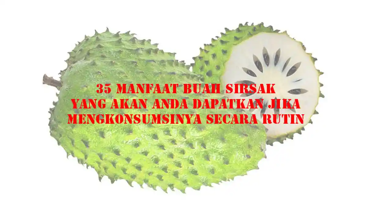 35 Manfaat Buah Sirsak Jika Mengonsumsinya Secara Rutin, Ini Kandungan Vitamin dan Mineralnya