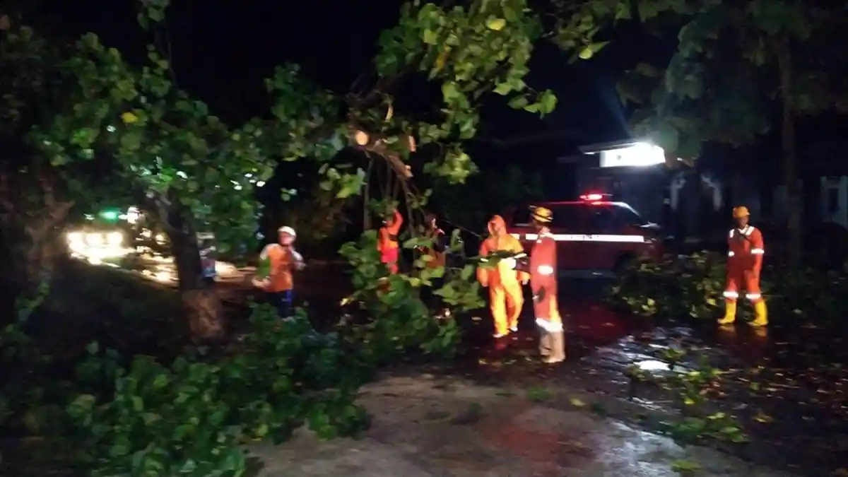 Pohon Tumbang dan Atap Bengkel Berhamburan - Hujan Disertai Angin Kencang di Karanganyar