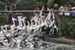 Libur Idul Fitri di Taman Margasatwa Ragunan