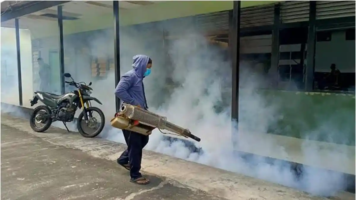 Waspada Demam Berdarah! Letkol Ali Isnaini Ajak Terapkan Gerakan 3M Usai Fogging Cegah DBD - Tribunpontianak.co.id