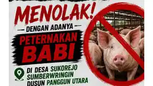 penolakan-pembangunan-peternakan-babi-di-Kabupaten-Bondowoso.jpg