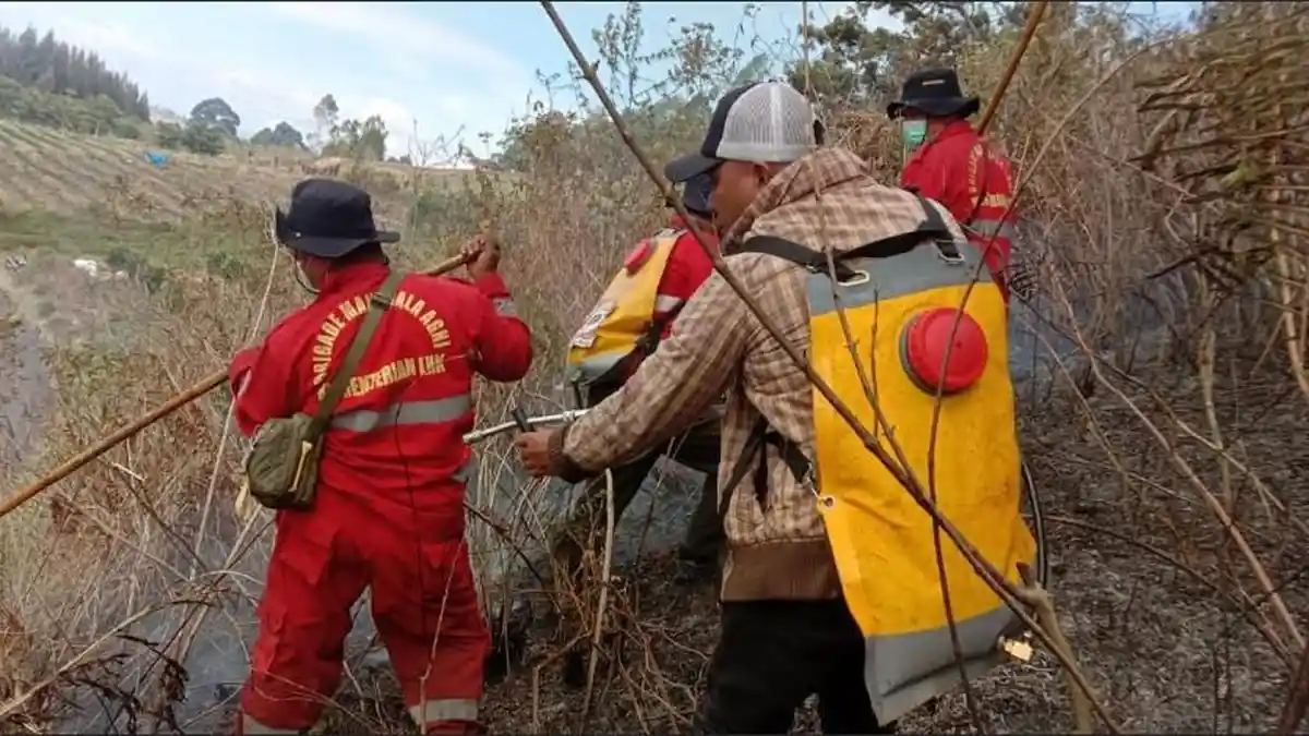 Minimalisir Karhutla, Gubsu Bobby akan Lakukan Rekayasa Cuaca Minggu Depan di Kawasan Danau Toba
