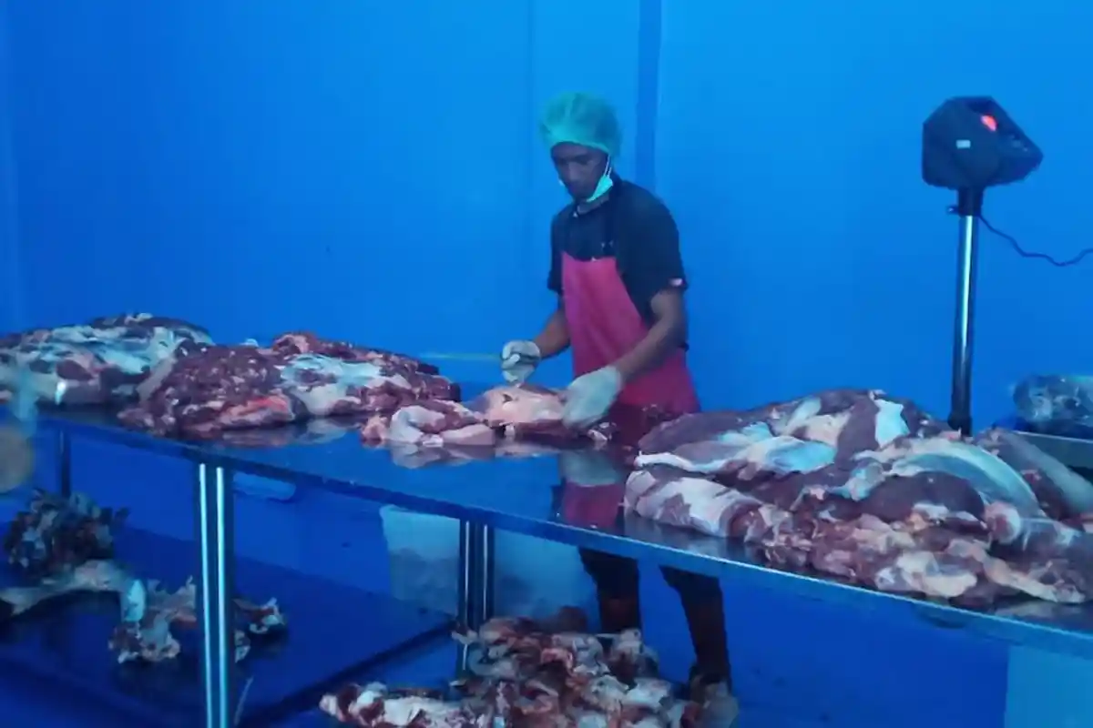 Warga Makassar Kini Bisa Nikmati Daging Sapi Berkualitas dari Berdikari, Harga Sama dengan Lokal