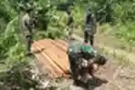 Satgas Yonif 642/Kapuas Amankan Kayu Hasil Illegal Logging