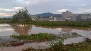kondisi-rumah-rumah-dan-pekarangan.jpg