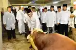 sapi-kurban-Pemprov-Sumut.jpg