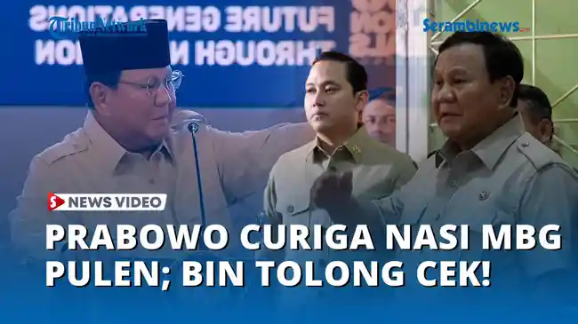 Tribun