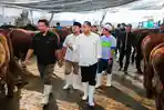 Pemkot Surabaya Salurkan 80 Hewan Kurban pada Iduladha 1447 Hijriah