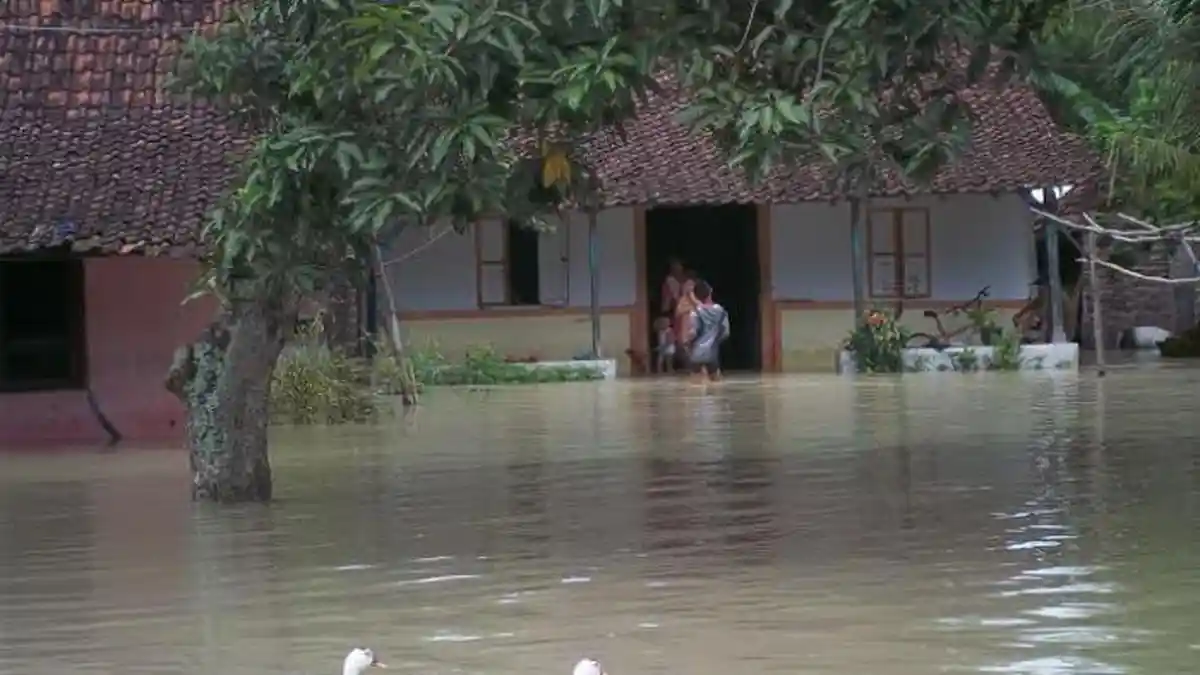 Ratusan Rumah dan Sawah di Jombang Diterjang Banjir