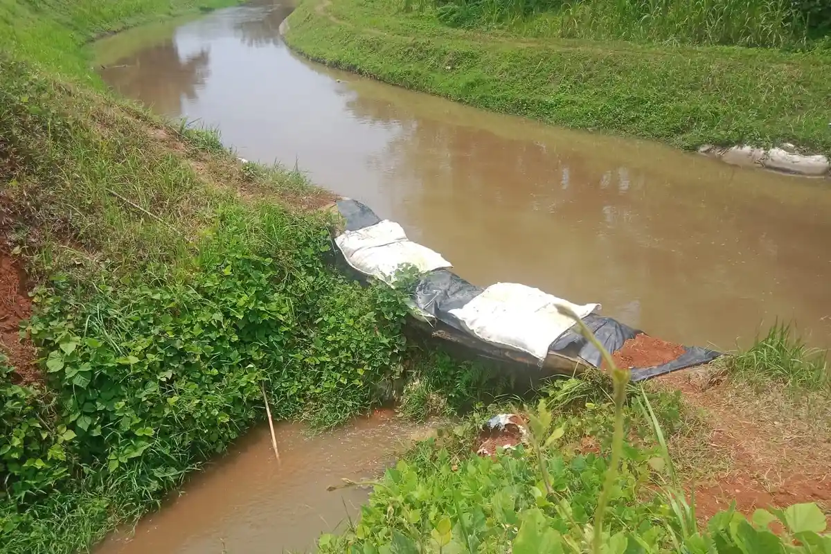 Petani di Seluma Bengkulu Keluhkan Irigasi BS 9 Jebol Tak Kunjung Diperbaiki BWSS 7