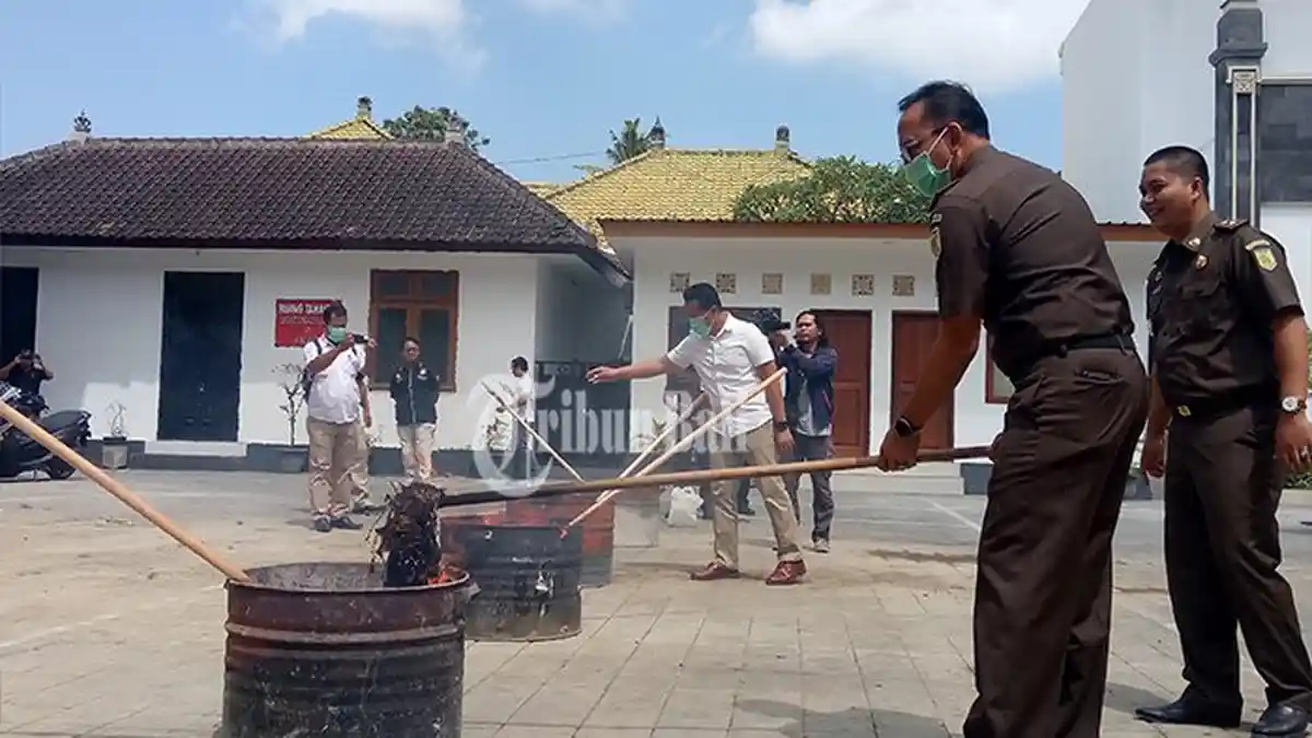 Barang Bukti Narkotik Senilai Rp 60 Miliar Dimusnahkan Kejari Denpasar