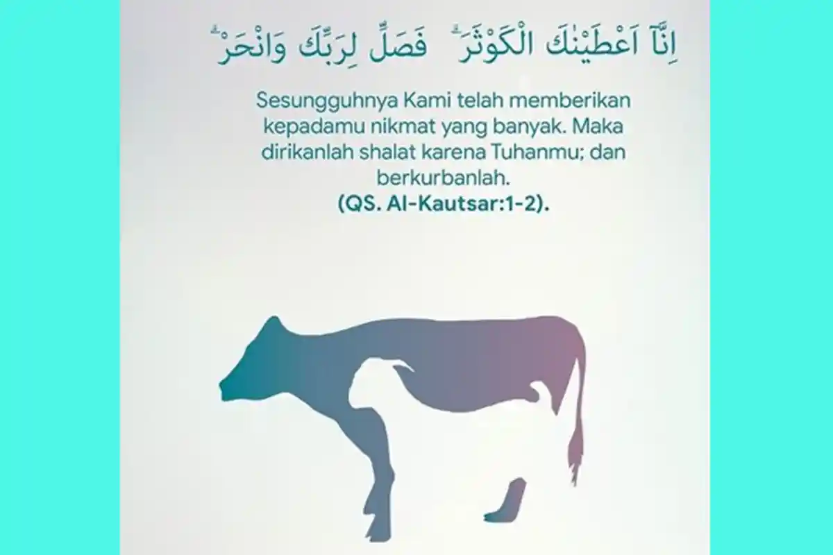 Idul Adha 2019: Mana yang Benar, Kurban Dulu Atau Aqiqah Dulu? Lengkap dengan Niat dan Doa Qurban