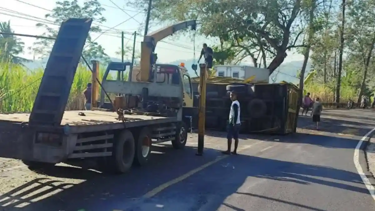 Kecelakaan Tunggal Truk Pengangkut Anak Ayam di Selorejo Blitar, Kenek ...
