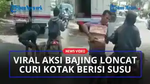Aksi-Bajing-di-Mabar.jpg