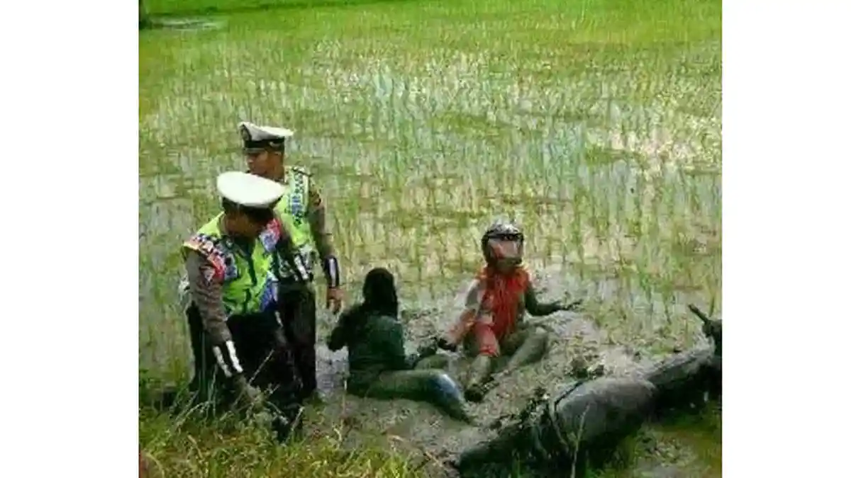 Polisi Tolong Pengendara Kecebur Sawah, Ini Reaksi Netizen