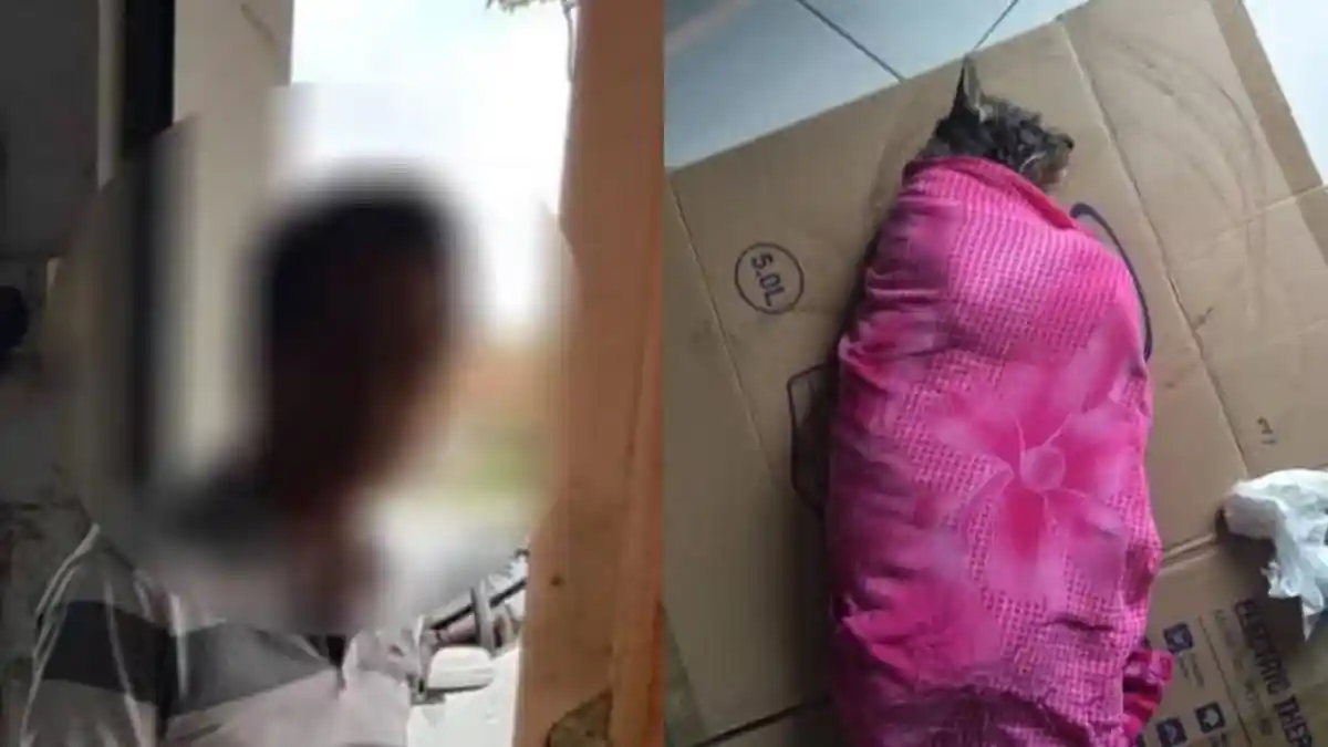 Pria Tebas Kucing Pakai Parang hingga Lumpuh dan Patah Tulang, Mengaku Tak Bersalah