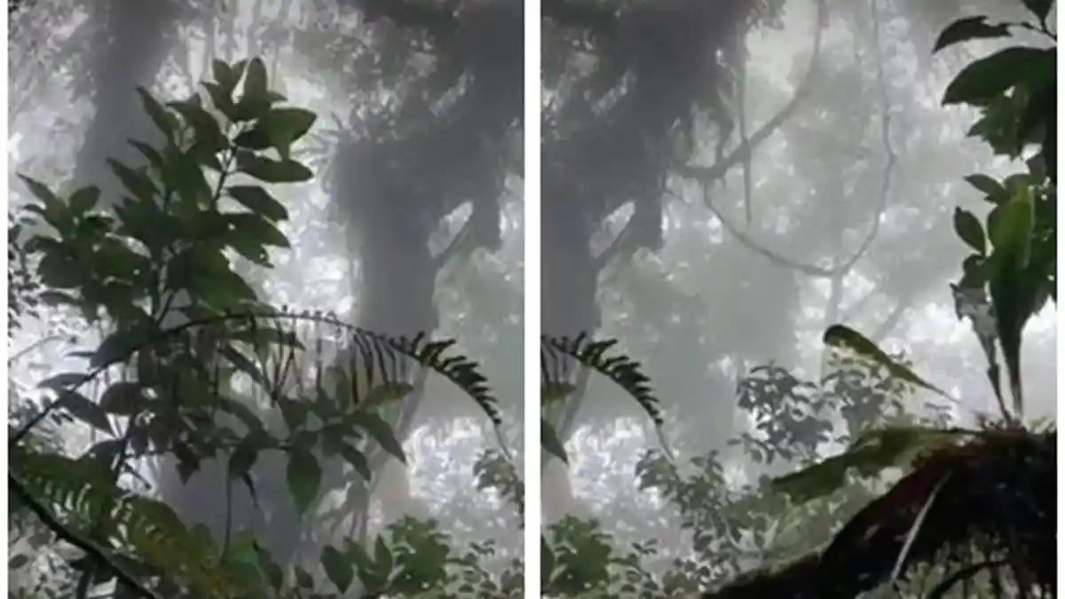 Sudah 4 Hari, Pendaki yang Hilang di Gunung Seulawah Agam Aceh Belum Ditemukan