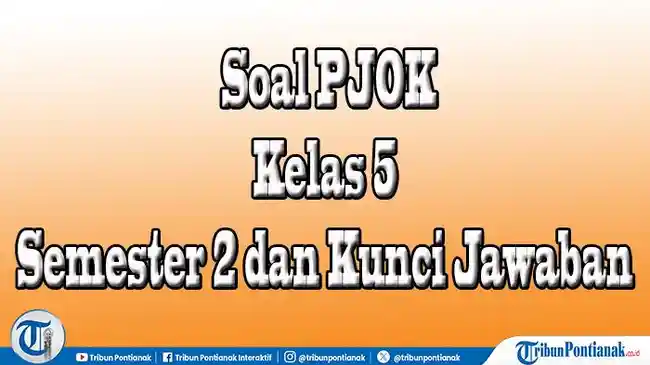 Tribun