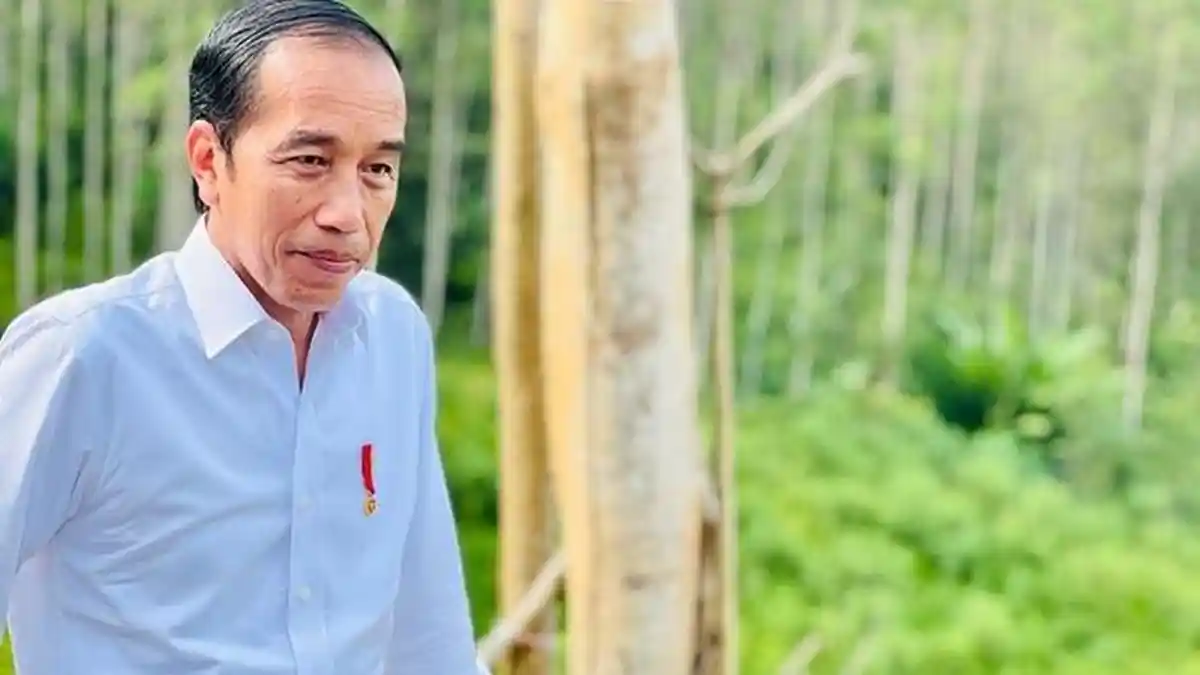 Jokowi: Tahun Depan Upacara 17 Agustus Digelar di IKN Saja Jika Sudah Ada Keppres