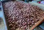 bawang-merah-Pasar-Raya-Padang-2852026.jpg