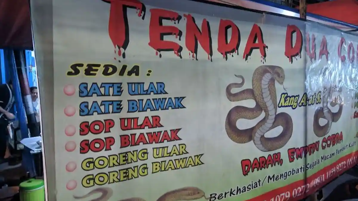 Kuliner Ekstrim Sate Ular Kobra Sampai Gorengan Ular Sanca Laris Manis: Dipercaya Berkhasiat Ini