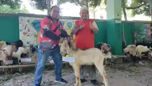JIP-Salurkan-Hewan-Kurban-dari-Sandiaga-Uno-ke-SDIT-Al-Muqqorobin.jpg