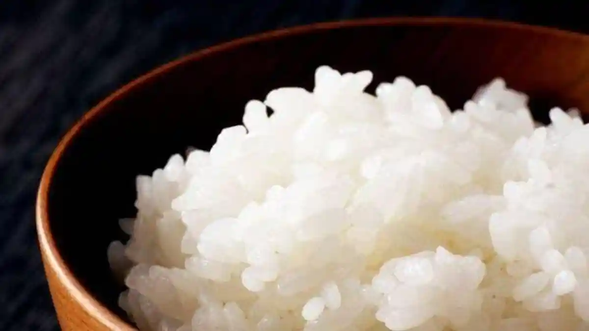 Menu Diet Pengganti Nasi, Ada Shirataki hingga Barlie, Perut Tetap Kenyang dan Kalori Lebih Rendah
