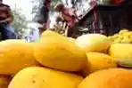 Penjualan Timun Suri Meningkat
