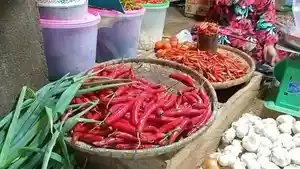 Harga-cabe-besar-di-Pasar-Topoyo-Mamuju-Tengah-capai-Rp-60-ribu-per-kilogram-Jumat-332023.jpg