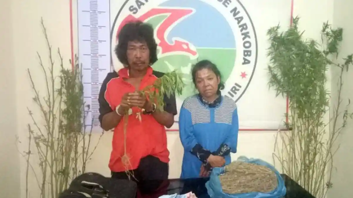 Pasutri Digerebek di Ladang, Ternyata Ini yang Mereka Lakukan