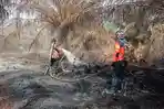Karhutla di Rupat Berhasil di Kendalikan, BPBD: Total Lahan Terbakar Hanya 8 Hektar