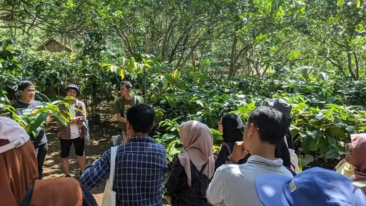 Hidden Gem di Kudus, Asyiknya Forest Healing di Hutan Gunung Muria Bersama Pemuda Desa Japan