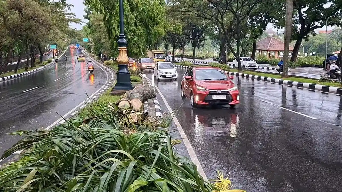 Pohon Palem Tumbang Timpa Pemotor di Jalan Tegar Beriman Bogor, Satu Orang Tewas