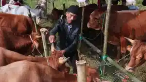 Doa-Niat-Kurban-di-Hari-Raya-Idul-Adha-Lengkap-dengan-Syarat-dan-Tata-Cara-Menyembelih-Hewan.jpg