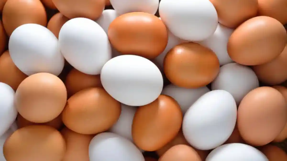 Alasan Makan Telur 6 Butir dalam Seminggu Bisa Perpanjang Usia
