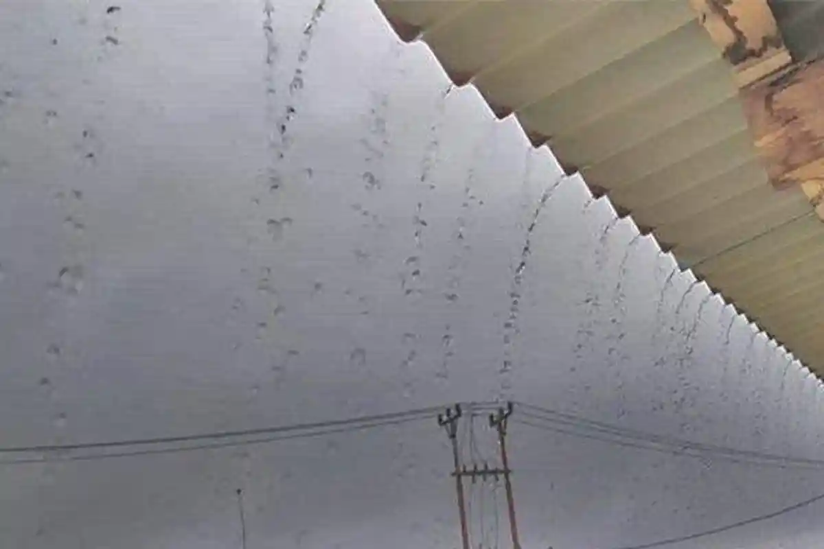 Cuaca Hari Ini, Info BMKG Rabu 5 Juli 2023, Hujan Lebat Berpotensi Terjadi, 26 Daerah Patut Waspada