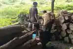 20260603_Barang-bukti-gelondongan-kayu-jati.jpg