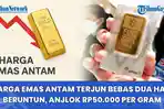 Harga Emas Antam Terjun Bebas Dua Hari Beruntun, Anjlok Rp50.000 per Gram