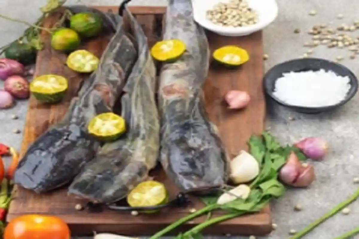 Arti Mimpi Dapat Ikan Lele Beda Jumlah Banyak dan Ada Patilnya