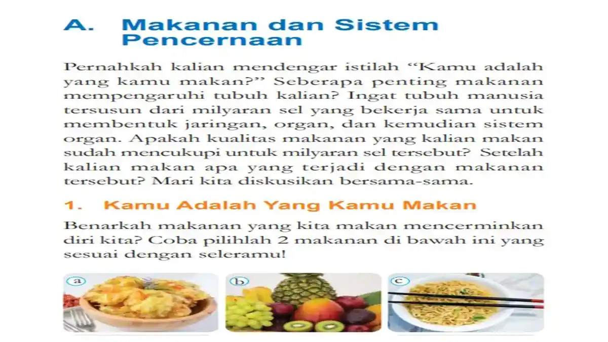MATERI IPA Kelas 8 SMP BAB 2 Kurikulum Merdeka: Mengenal Makanan dan Sistem Pencernaan