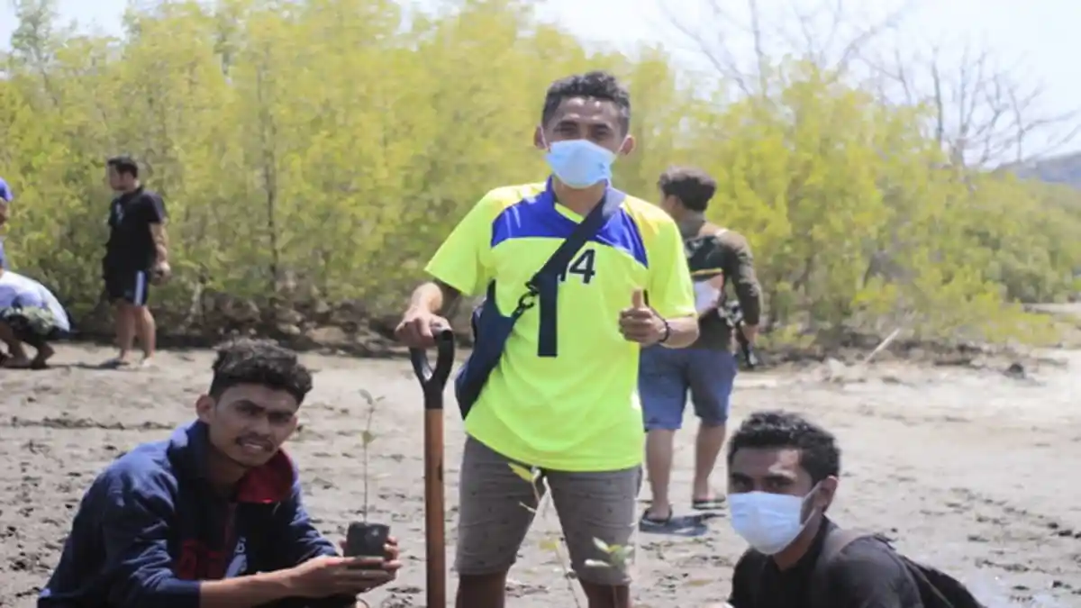 Mahasiswa STFK Ledalero Tanam Bakau di Pantai Ndete Sikka