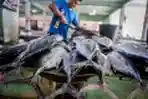 Harga Ikan Naik di Pasar Peunayong Aceh