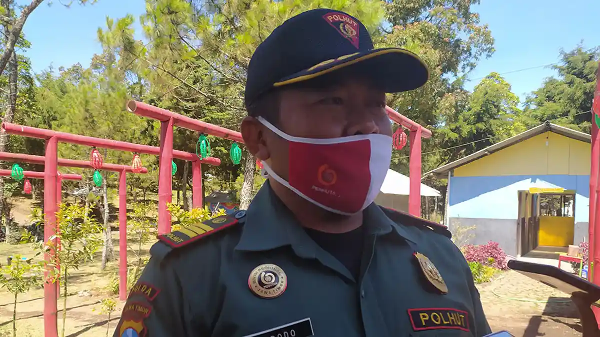 Perhutani Tegur Komunitas Jeep Bikin Rusak Jalan Pencari Rumput di Lawu: Wajib Tanam Pohon