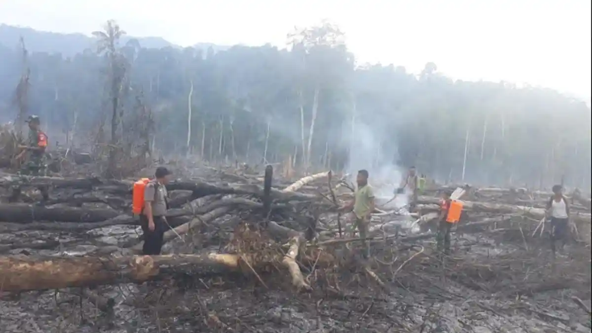 13 Hektare Lebih Kawasan Hutan di Lesten Dibakar untuk Lahan Baru, Ini Kata Kapolsek Pining
