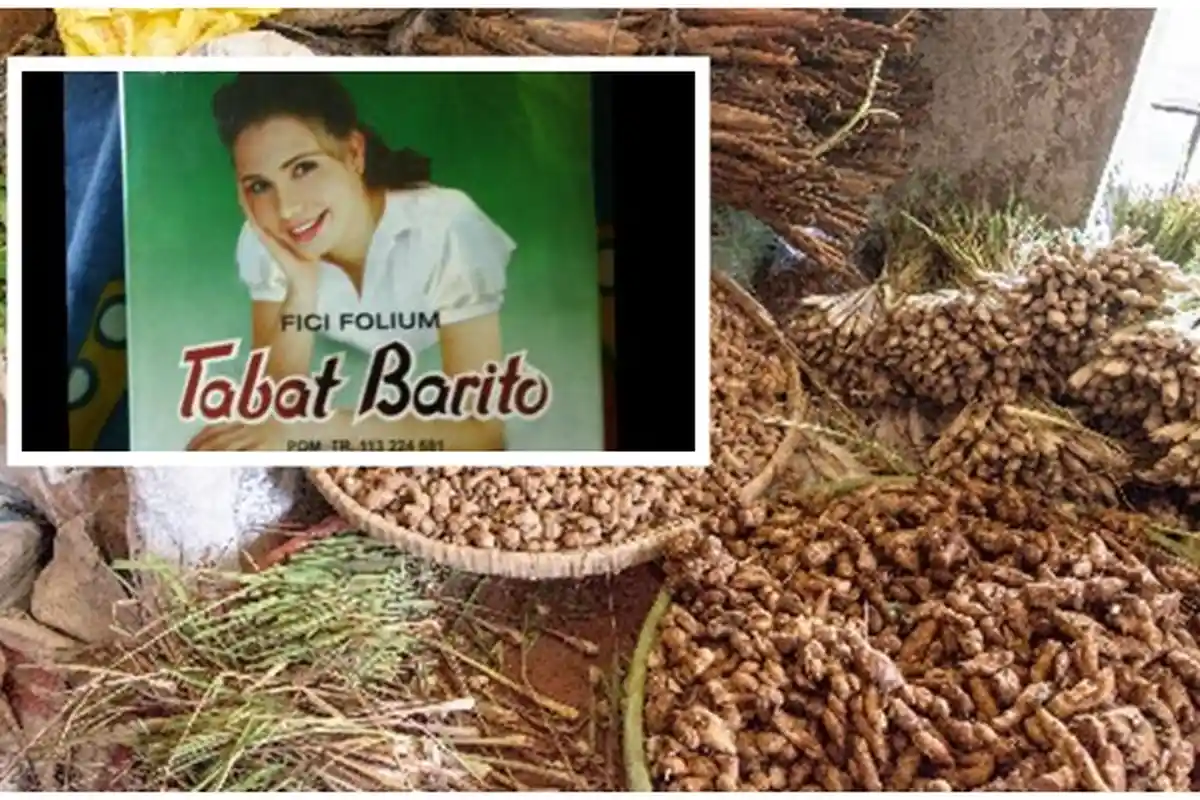 Miris! Perusahaan Jamu Tradisional Kalsel Terancam Tutup, Husin Pun Hanya Produksi 60 Bal